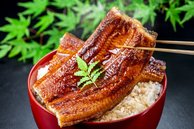 Unagi Donburi (Unadon) with Furikake